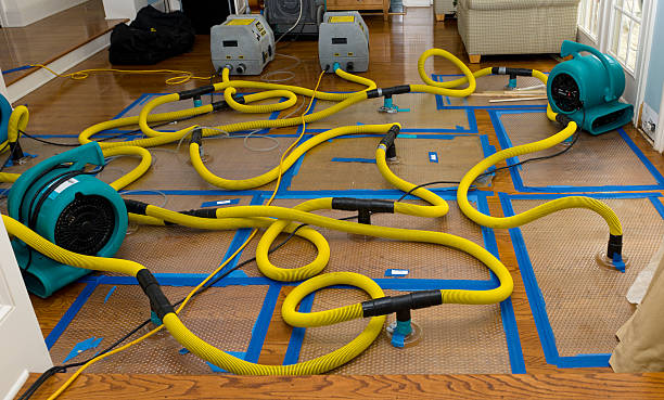 Professional Flood Damage Restoration technician working in West Sayville, NY